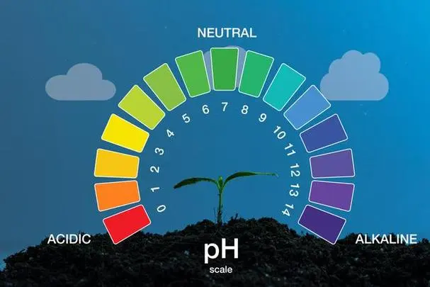 The Impact of pH on Cell Culture Media