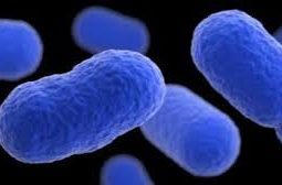Listeria monocytogenes: The Hidden Threat in Low-Moisture Foods