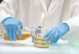 Tips for Mastering the Pour Plate Technique