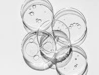 Blank Test: Purpose, Procedure, and Key Considerations