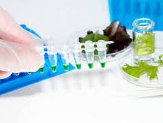 Microbial Detection in Food Safety: Plate Count Method vs. Flow Cytometry