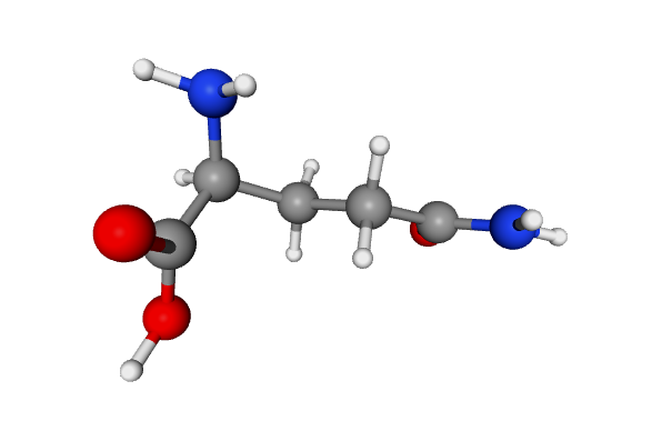 Glutamine in Cell Culture